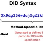 did:sov:3k9dg356wdcj5gf2k9bw8kfg7a